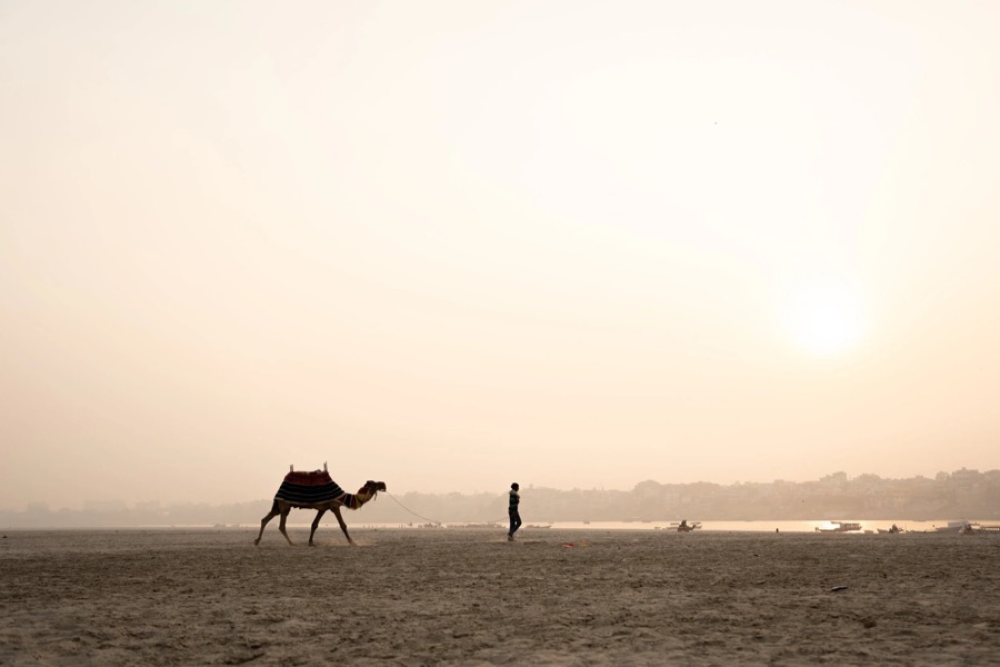 Camel and its handler crossing the sandbank opposite the Varanasi ghats as the sun drops through haze