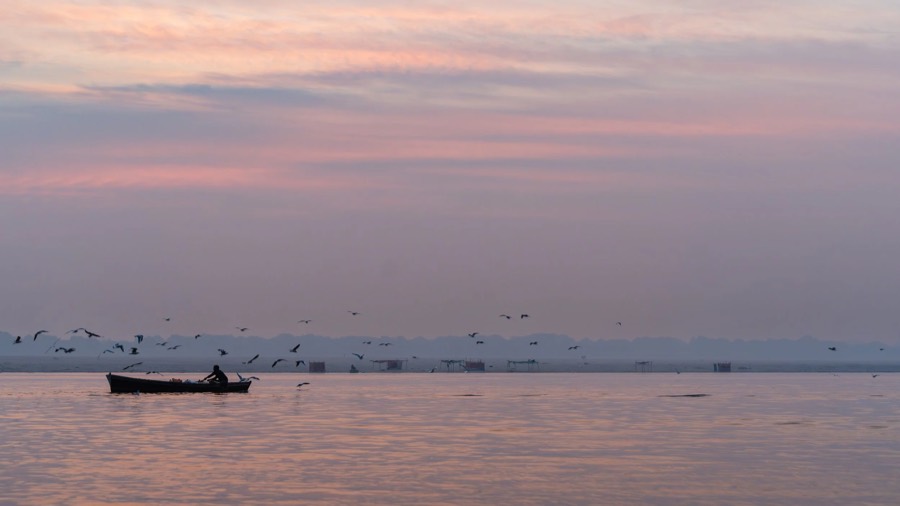 Lone oarsman and low-flying gulls on the Ganges at Varanasi beneath a wide pink and mauve sky