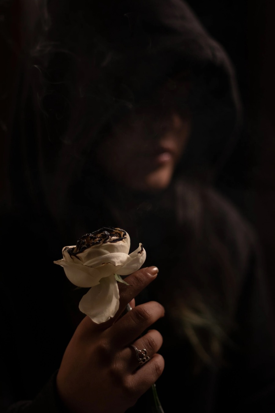 Hand holding a pale rose in sharp focus, ringed fingers, a hooded figure blurred in the dark behind